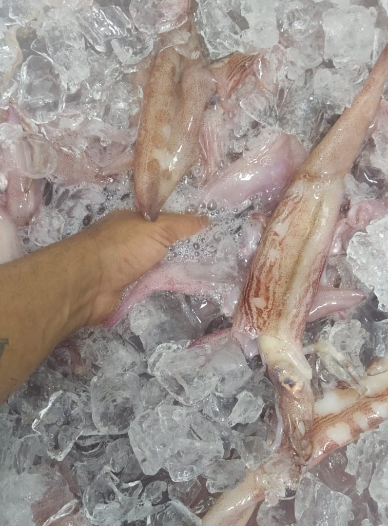 Lulas em preparo, etapa que antecede a revisão interna do tubo.